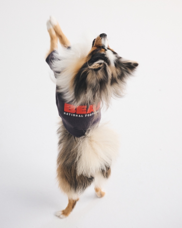 Chicago Bears Pet Sweatshirt, Dark Gray-bears view 2