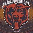dark gray-bears