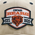 navy-bears