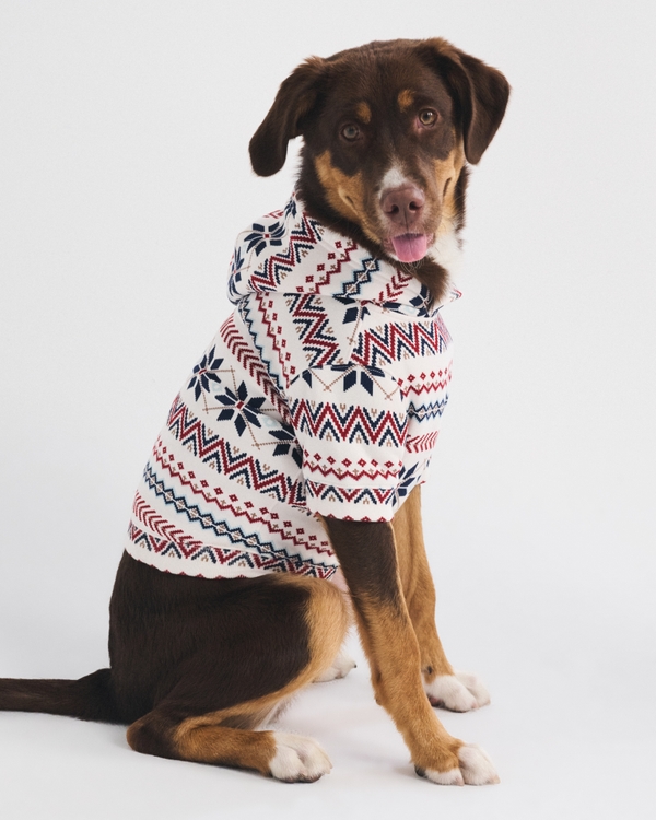 A&F Essential Pet Pupover Hoodie