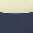 navy with yellow