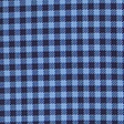 blue gingham