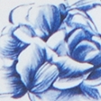 white and blue floral