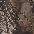 camuflaje marrón