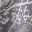 gray camo