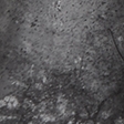 gray camo