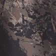 brown camo
