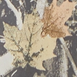 light brown camo