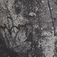gray camo