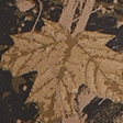 brown camo