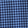 blue gingham