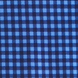 blue gingham
