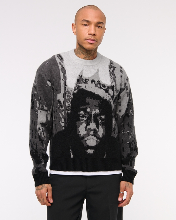 Vol. 28 Oversized Biggie Smalls Crew Sweater, Gray Pattern view 1