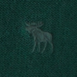 forêt foncé