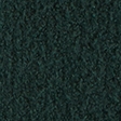 dark forest