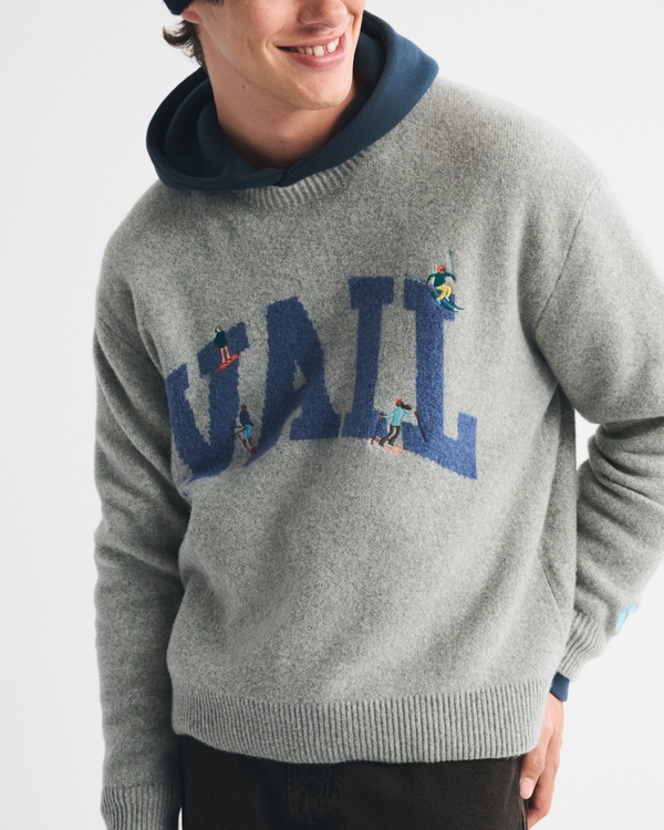 Oversized Vail Graphic Crew Sweater