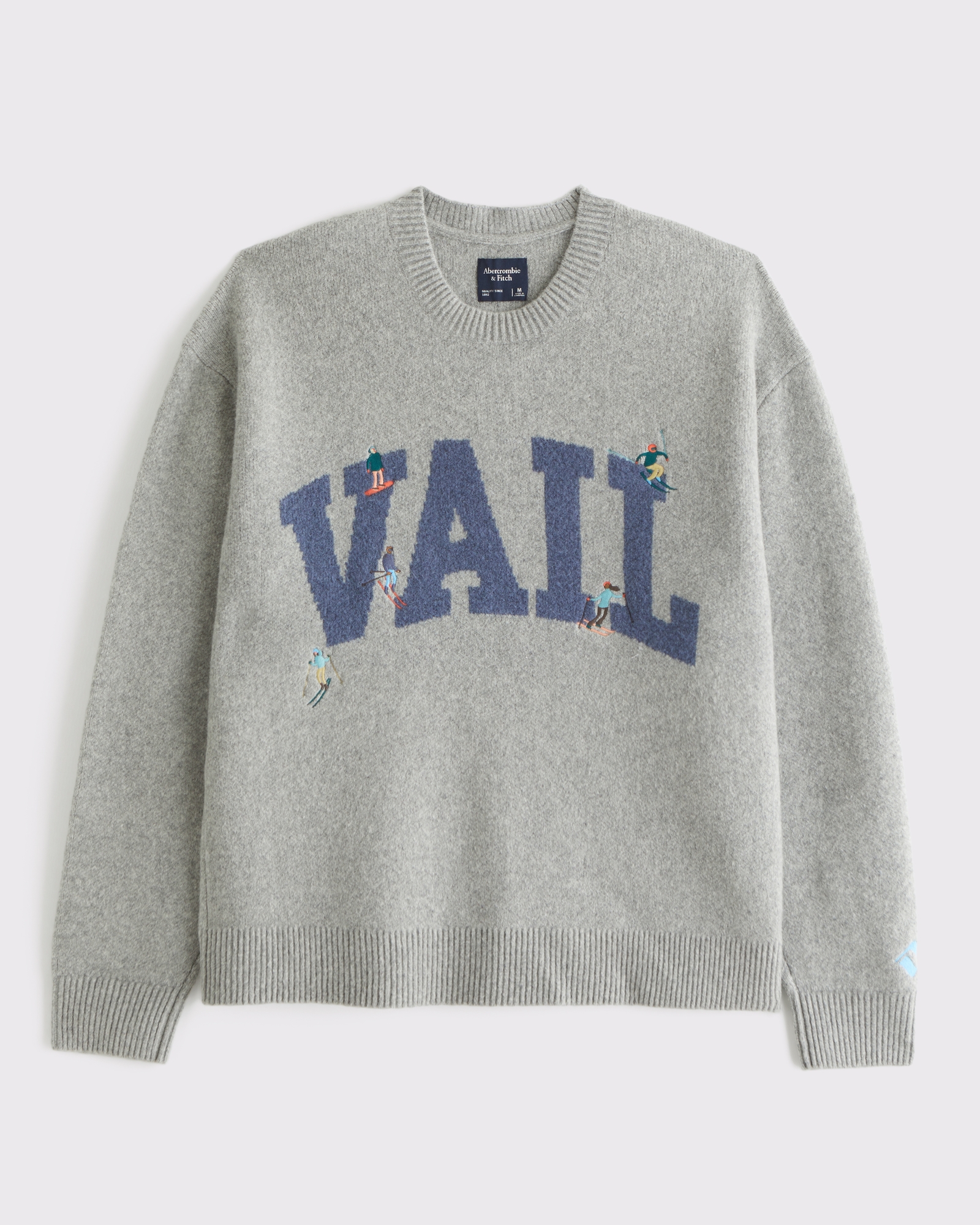 Oversized Vail Graphic Crew Sweater