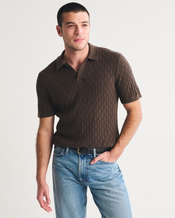 Textured Johnny Collar Sweater Polo, Chocolate Brown view 1
