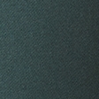 dark spruce