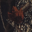 black pattern