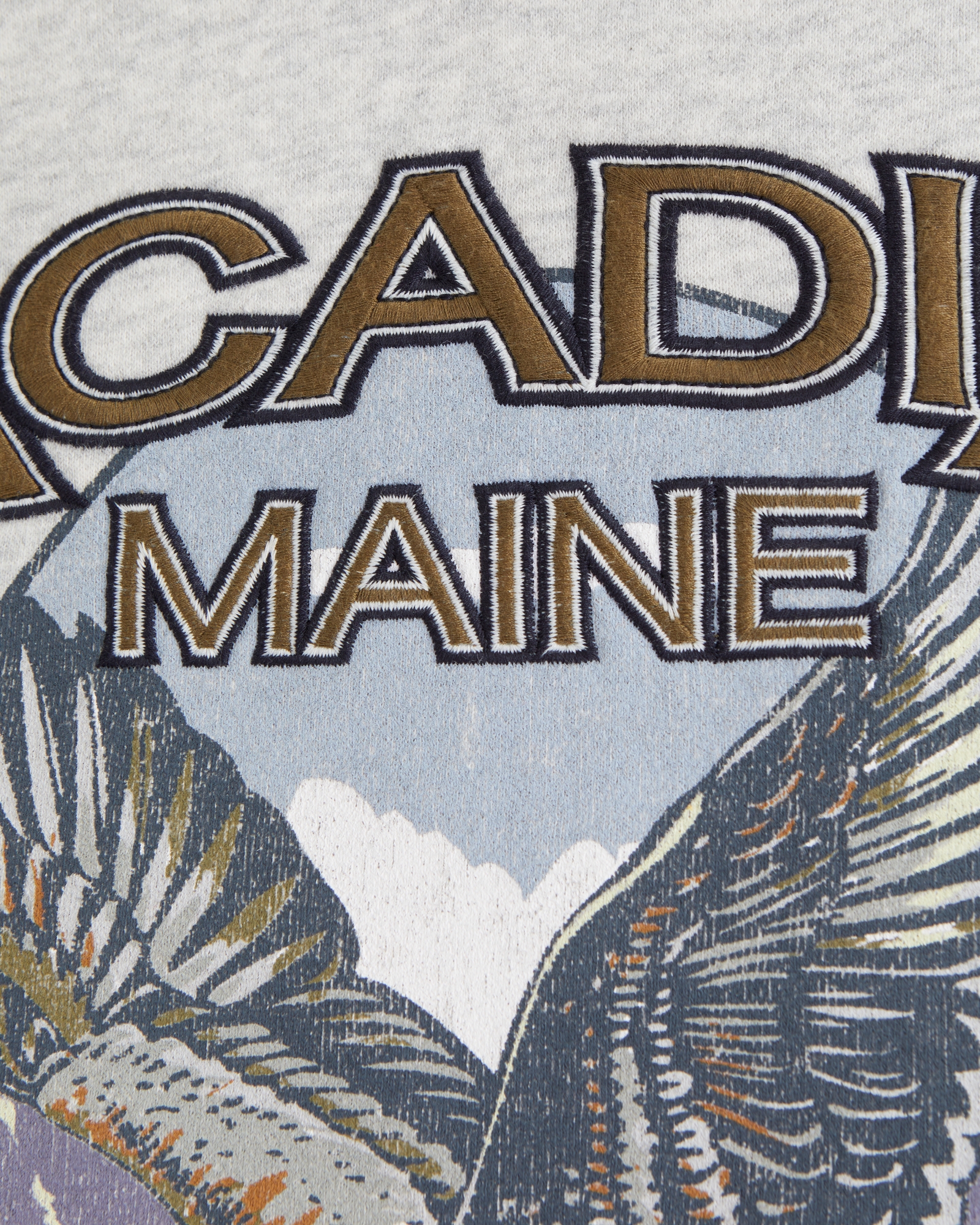Acadia Graphic Popover Hoodie
