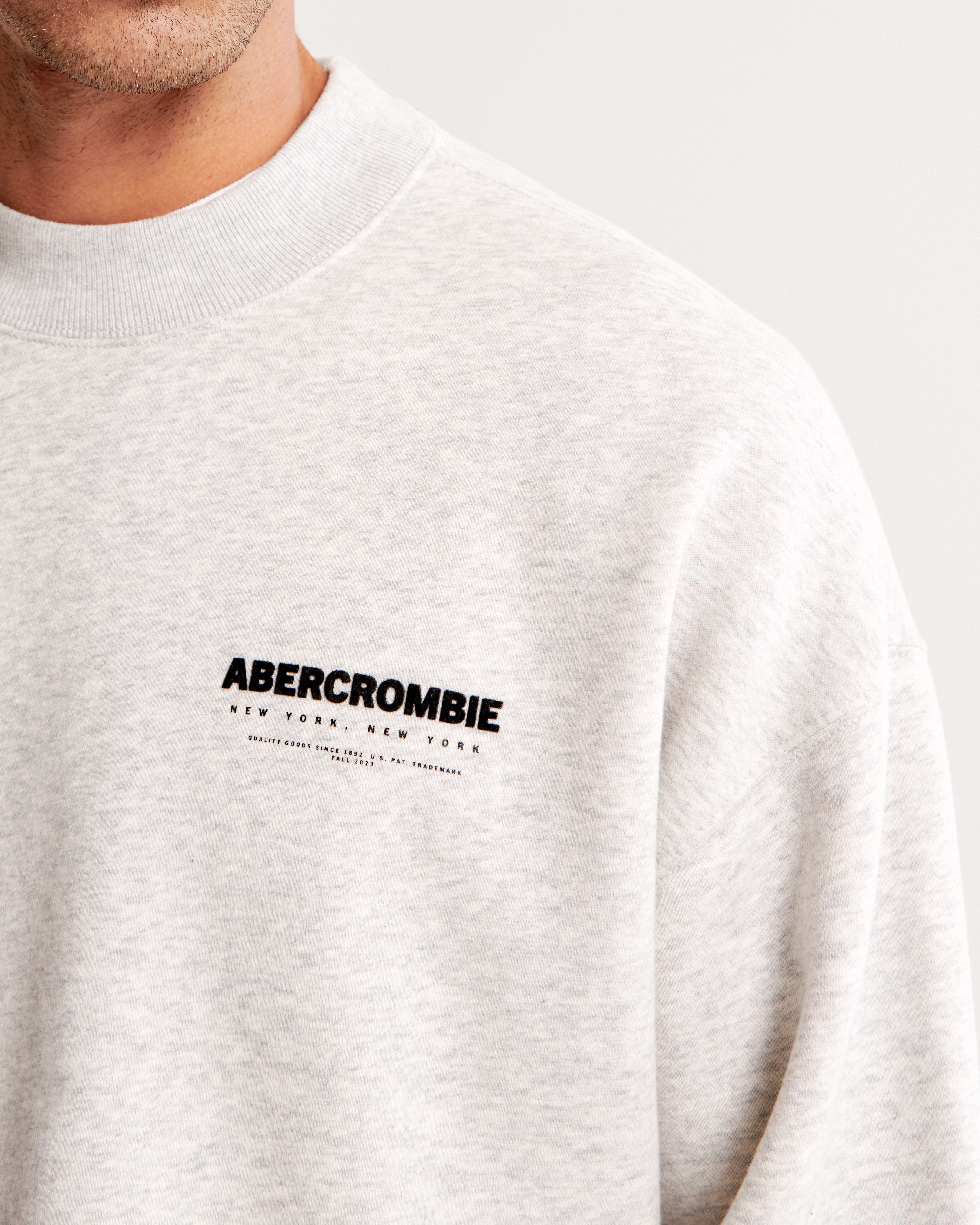 Abercrombie logo 2024 crew sweatshirt