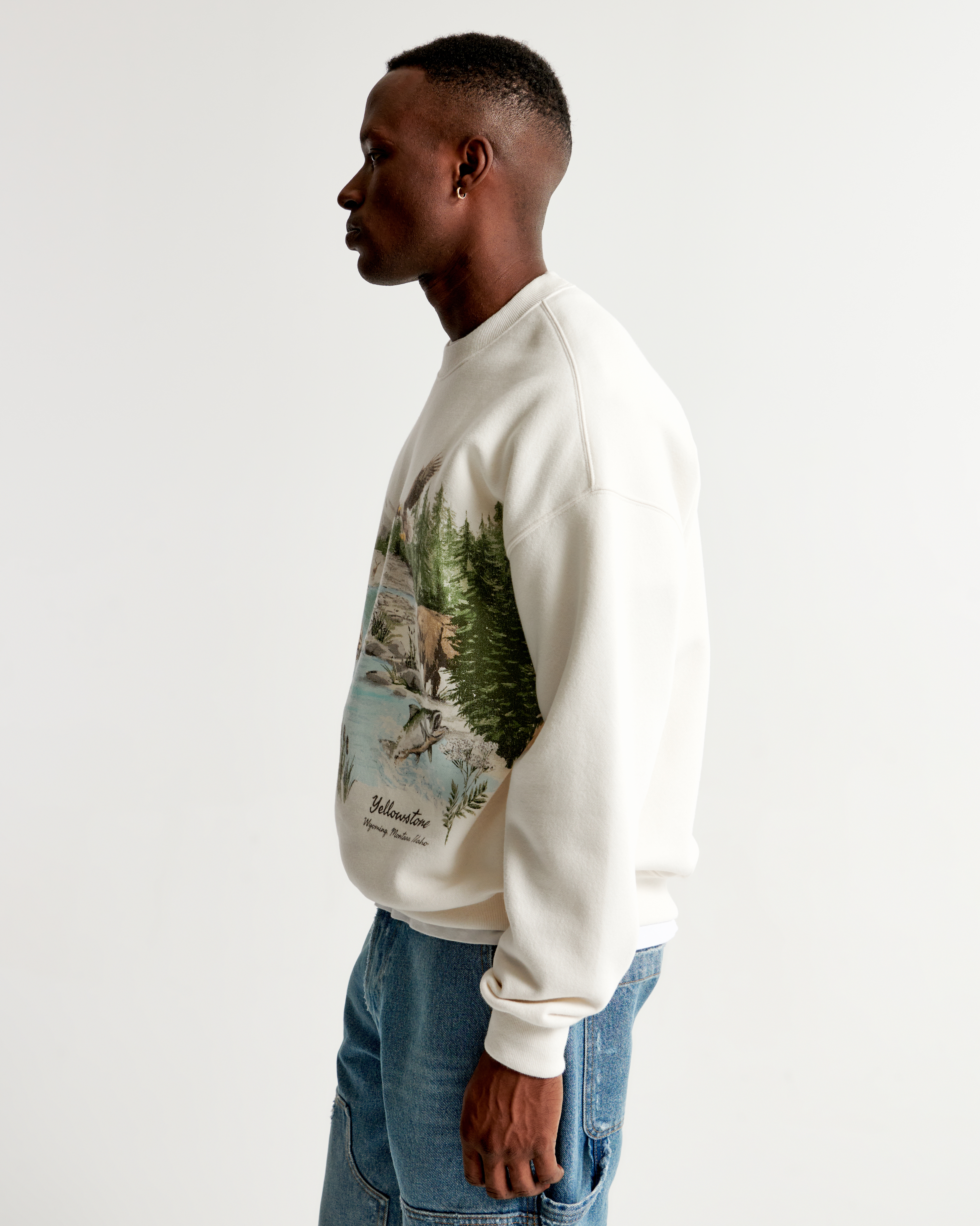 J crew cheap badlands sweatshirt