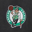 Boston Celtics Graphic Popover Hoodie