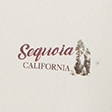 Sequoia Cropped Graphic Popover Hoodie