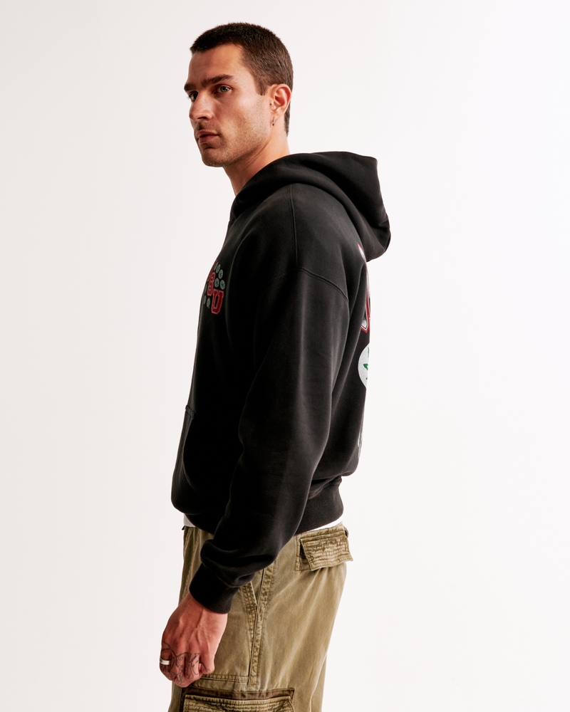 The Ohio State University Graphic Popover Hoodie