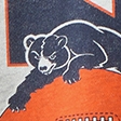 gris jaspeado claro - bears