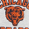 light gray-bears