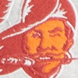light gray- bucs