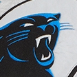 light gray-panthers