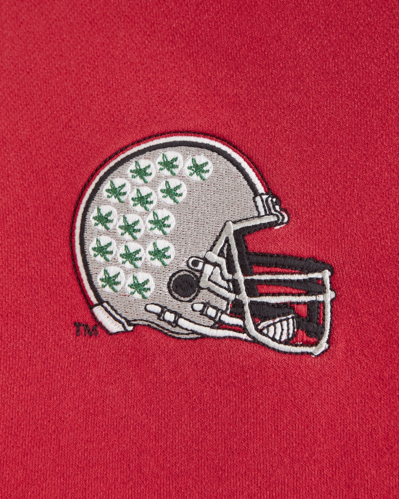 The Ohio State University Graphic Popover Hoodie