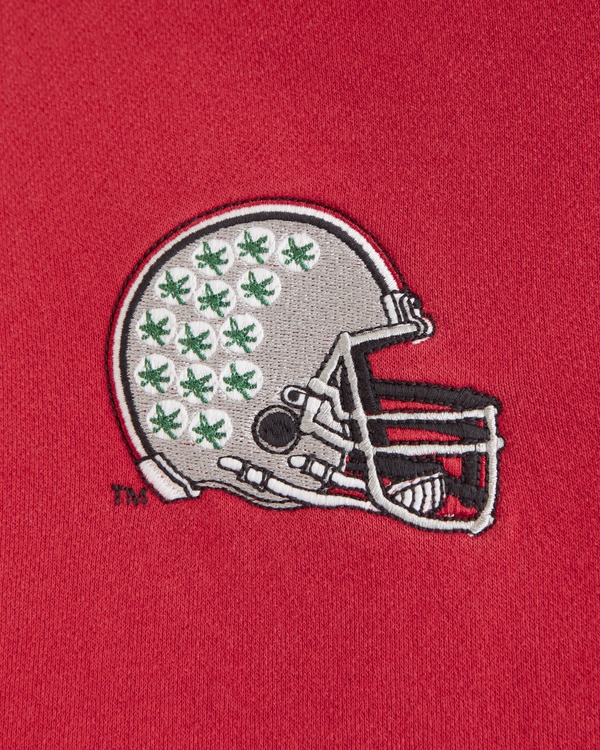 The Ohio State University Graphic Popover Hoodie