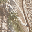 light brown camo