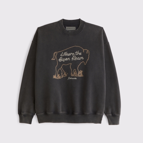 Мужские худи Abercrombie & Fitch Western Graphic Crew Sweatshirt