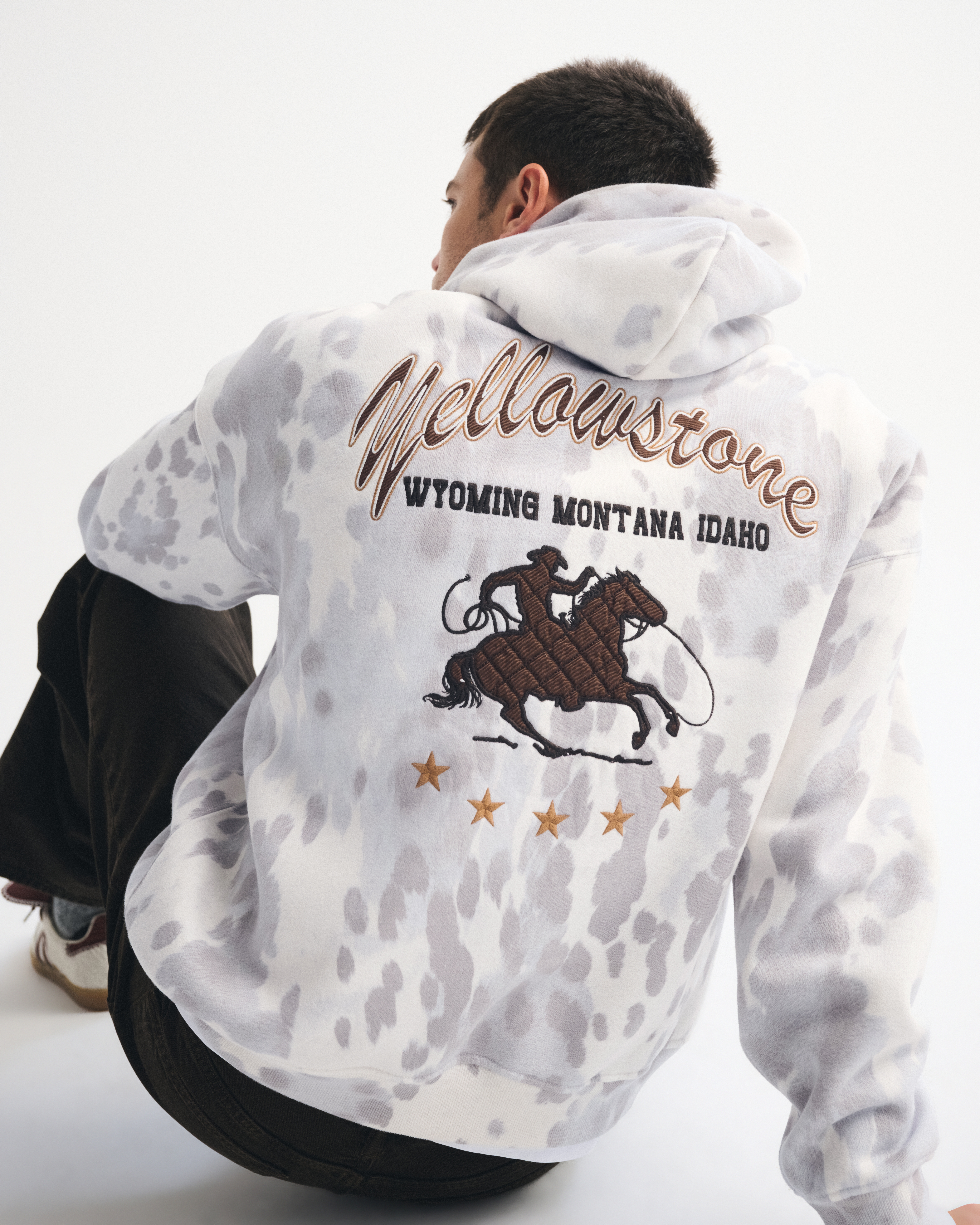 Abercrombie & Fitch Yellowstone Graphic Popover Hoodie