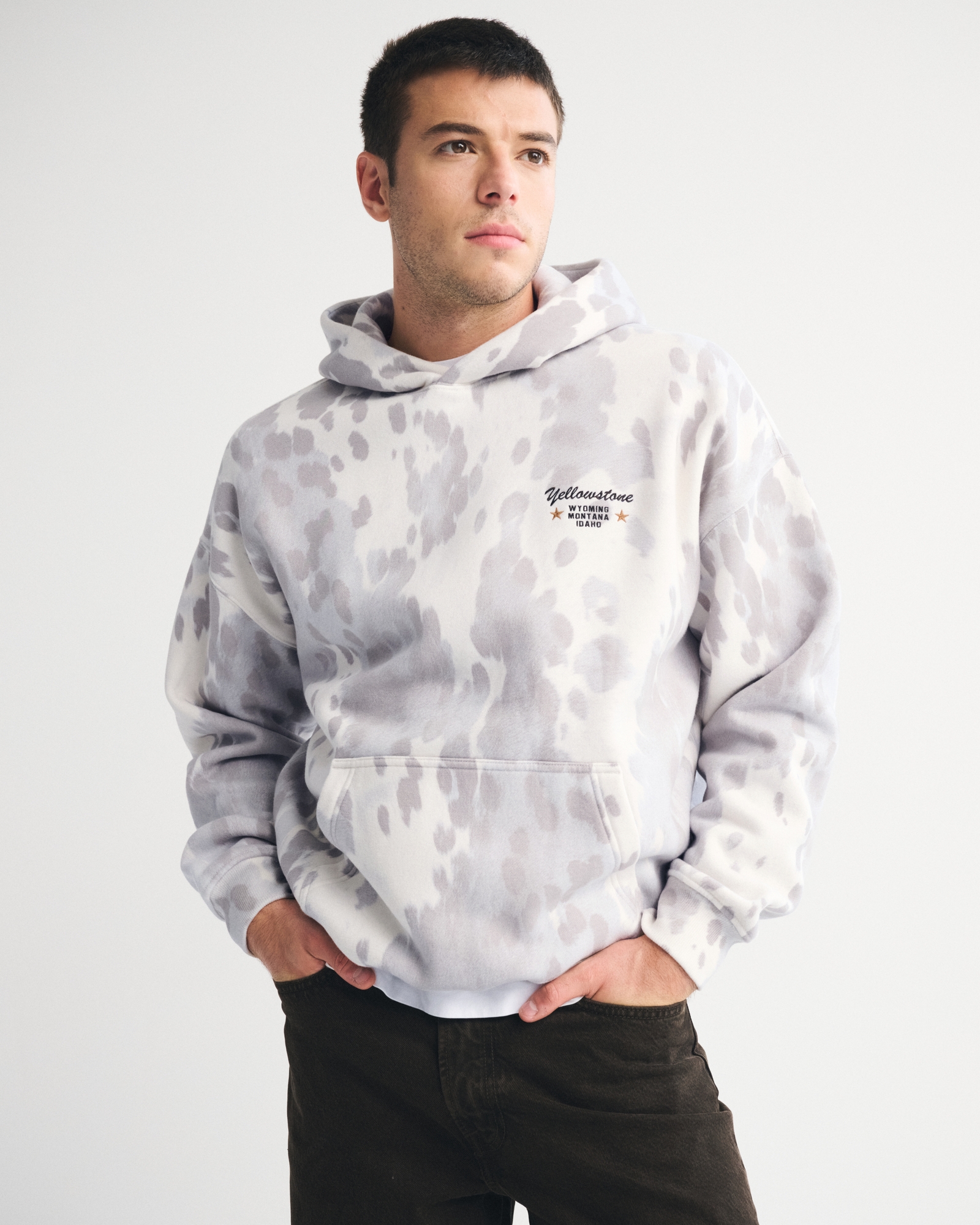 Yellowstone Graphic Popover Hoodie