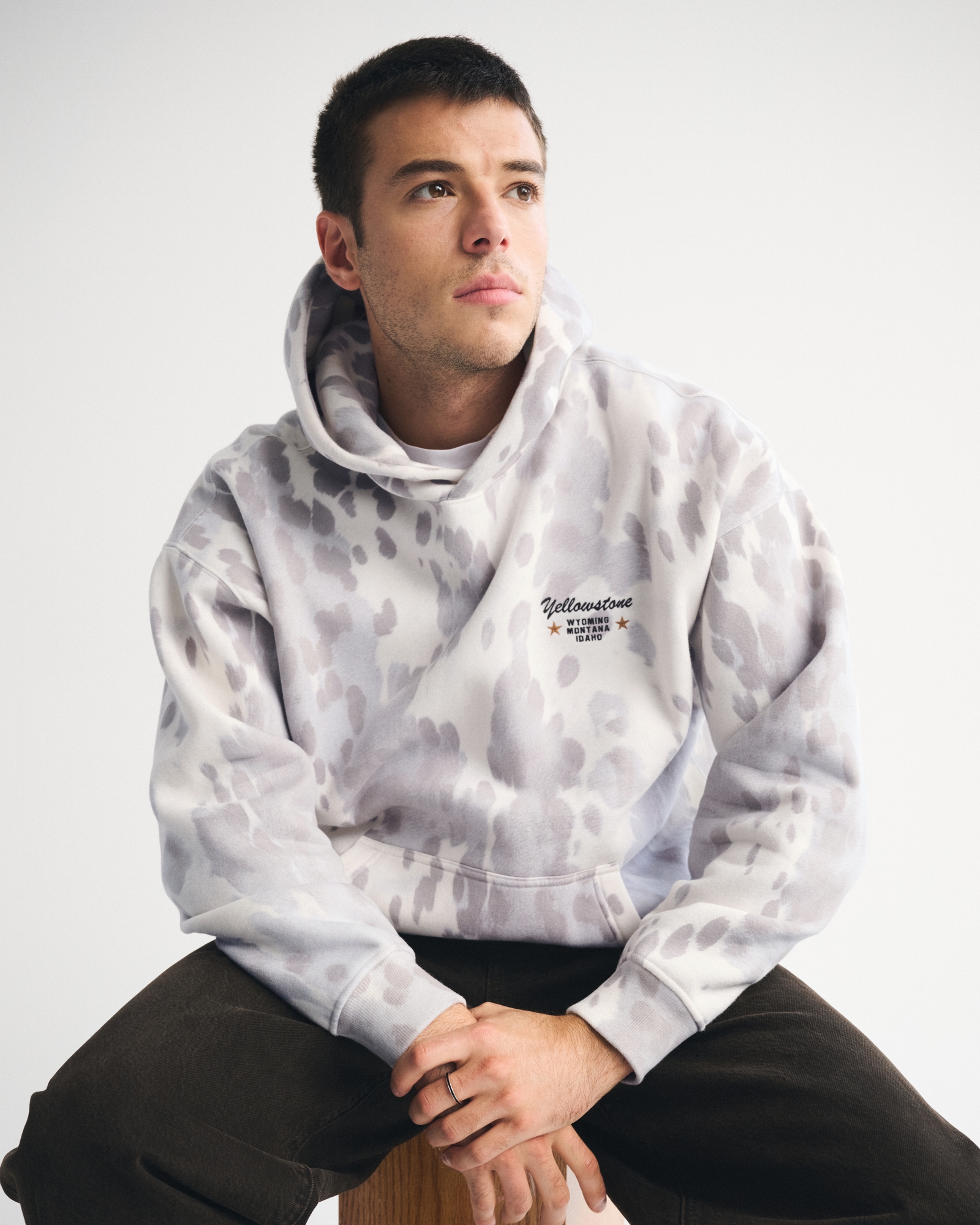 Yellowstone Graphic Popover Hoodie