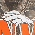 camo-broncos
