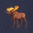 navy dd