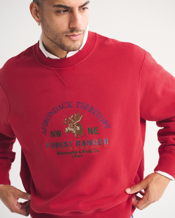 Men's Graphic Logo Crew Sweatshirt | Men's Tops | Abercrombie.com