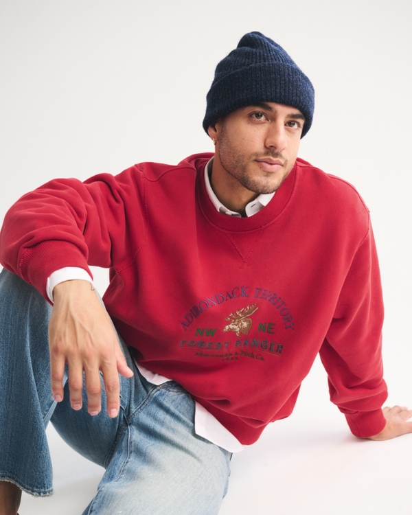Men's Graphic Logo Crew Sweatshirt | Men's Tops | Abercrombie.com