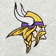 heather gray-minnesota vikings