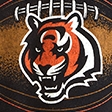 black-bengals