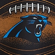 black-panthers