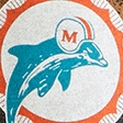 heather gray-dolphins