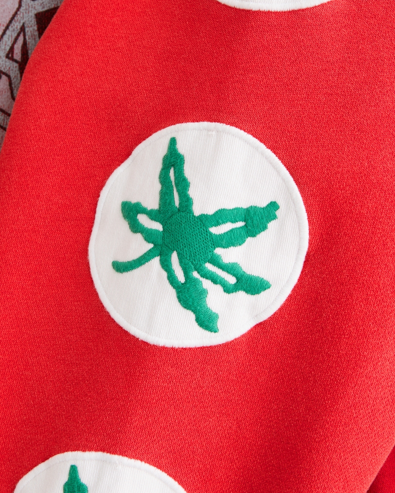 Ohio State Buckeyes Popover Hoodie - thumbnail 8